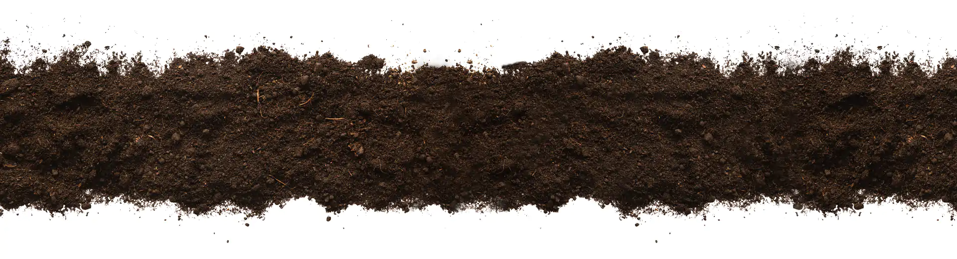 Banner DevRoots compost